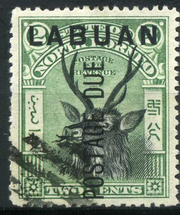 Sambar Deer (Cervus unicolor)