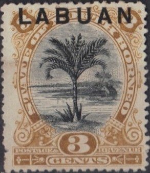 Sago Palm