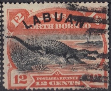 Saltwater Crocodile (Crocodylus porosus)