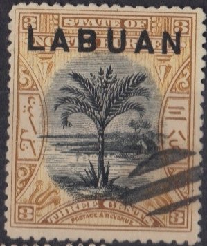 Sago Palm