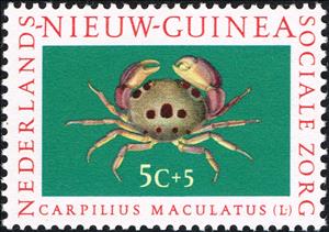 Stamp, Spotted Reef Crab (Carpilius maculatus), Netherlands New Guinea,  , Sea Life, Crustaceans, Animals (Fauna), Crabs