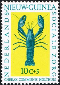 Stamp, Blue Papuan Freshwater Crayfish (Cherax communis), Netherlands New Guinea,  , Sea Life, Crustaceans, Animals (Fauna)
