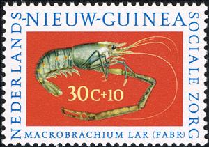 Stamp, Painted Spinny Lobster (Panulirus versicolor), Netherlands New Guinea,  , Sea Life, Crustaceans, Animals (Fauna)