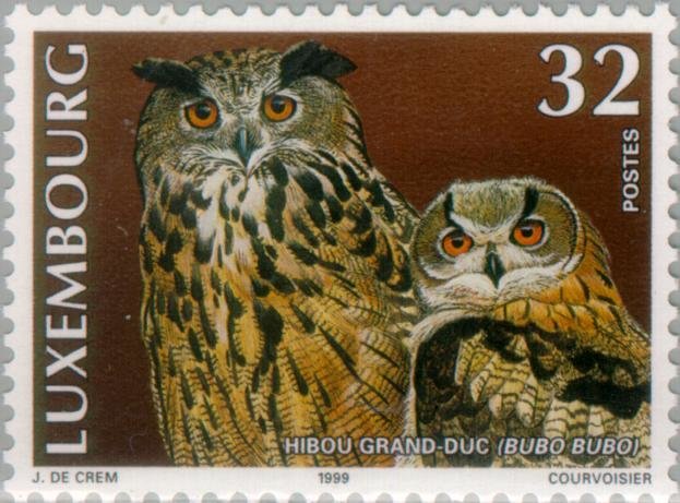 Eurasian Eagle-Owl (Bubo bubo)