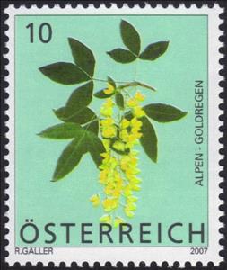Stamp, Scotch Laburnum (Laburnum Alpinum), Austria,  , Flowers, Plants (Flora)