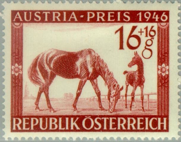 Racehorse with faul