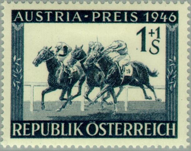Race horses