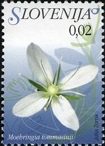 Stamp, Flowers of Slovenia - Moehringia tommasinii, Slovenia,  , Flowers, Plants (Flora)