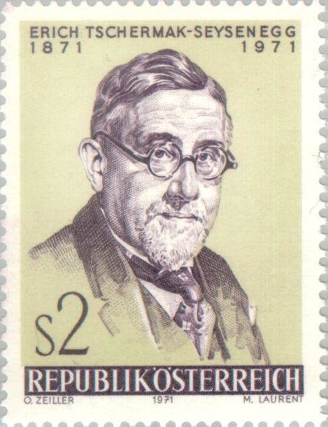 Tschermak-Seysenegg, Dr. Erich (1871-1962) botanist