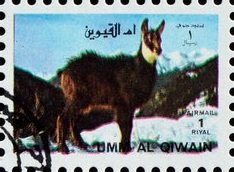 Stamp, Goat, Umm al-Qiwain,  