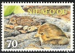 Stamp, Tongan Megapode (Megapodius pritchardii), Niuafo'ou,  , Animals (Fauna)