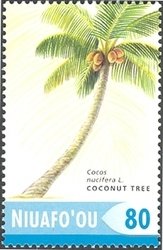 Fruit trees - Coconut