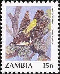 Stamp, Bar-winged Weaver (Ploceus angolensis), Zambia,  