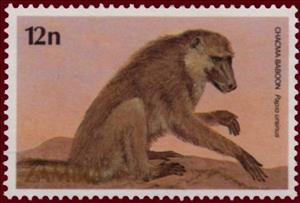 Stamp, Chacma Baboon (Papio ursinus), Zambia,  , Monkeys