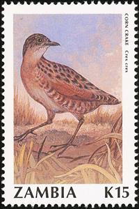 Stamp, Corncrake (Crex crex), Zambia,  , Birds, Animals (Fauna)