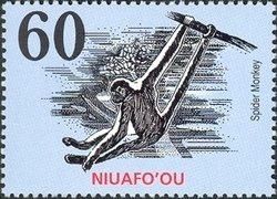 Stamp, Spider Monkey (Ateles sp.), Niuafo'ou,  , Chinese New Year, Monkeys