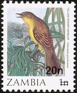 Stamp, Papyrus Yellow Warbler (Calamonastides gracilirostris), Zambia,  , Birds, Animals (Fauna)
