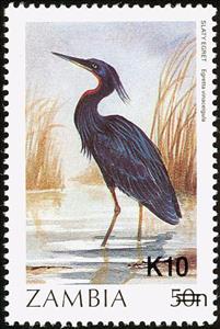 Stamp, Slaty Egret (Egretta vinaceigula), Zambia,  