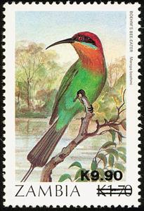Stamp, Böhm's Bee-eater (Merops boehmi), Zambia,  , Birds