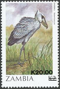Stamp, African Shoebill (Balaeniceps rex), Zambia,  , Birds, Animals (Fauna)