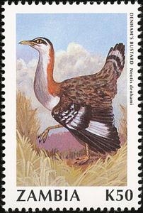 Stamp, Denham's Bustard (Neotis denhami), Zambia,  , Birds, Animals (Fauna)