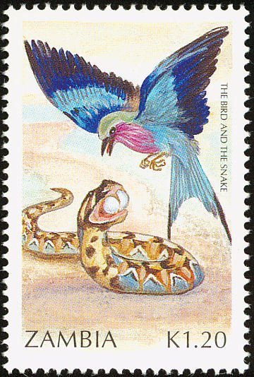 The Bird and the Snake