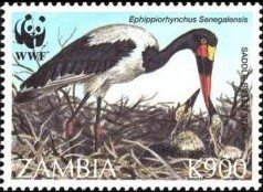 Stamp, Saddle-billed Stork (Ephippiorhynchus senegalensis), Zambia,  , Birds, WWF, Animals (Fauna)