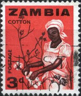 Cotton-Picking