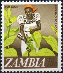 Stamp, Picking Tobacco, Zambia,  , Agriculture, Women, Plants (Flora)