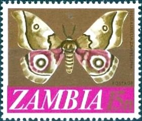 Stamp, Moth (Nudaurelia zambesina), Zambia,  , Insects, Butterflies, Animals (Fauna)
