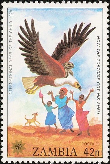 Haliaeetus vocifer