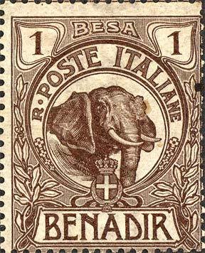 African Elephant (Loxodonta africana)