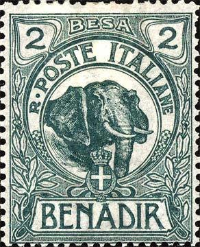 African Elephant (Loxodonta africana)