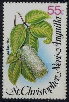 Stamp, Inga laurina, Saint Kitts and Nevis,  