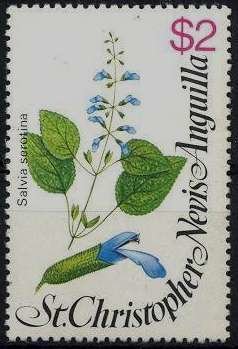 Stamp, Salvia serontina, Saint Kitts and Nevis,  