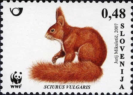 Animals – WWF – Red Squirrel 