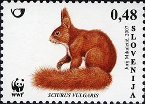 Stamp, Animals – WWF – Red Squirrel , Slovenia,  , WWF, Squirrels, Animals (Fauna)