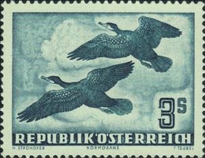 Stamp, Great Cormorant (Phalacrocorax carbo), Austria,  , Birds, Animals (Fauna)