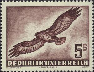 Stamp, Common Buzzard (Buteo buteo), Austria,  , Birds, Birds of Prey, Animals (Fauna)