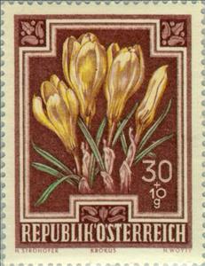 Stamp, Spring Crocus (Crocus vernus), Austria,  , Flowers, Plants (Flora), Tuberculosis / TBC