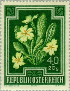 Stamp, Primrose (Primula vulgaris), Austria,  , Flowers, Plants (Flora), Tuberculosis / TBC