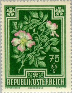 Stamp, Dog Rose (Rosa canina), Austria,  , Flowers, Plants (Flora), Tuberculosis / TBC