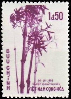 Bambusa nitida