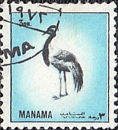 Demoiselle Crane (Anthropoides virgo)