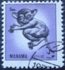 Bushbaby (Galago sp.)