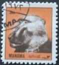 Baboon (Papio sp.)