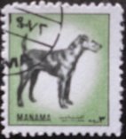 Dog (Canis lupus familiaris)