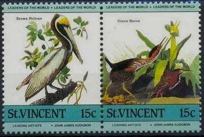 Brown Pelican (Pelecanus occidentalis), Green Heron (Butorid
