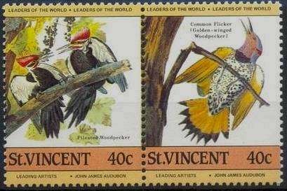 Pileated Woodpecker (Dryocopus pileatus), Northern Flicker (
