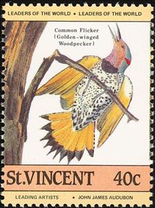 Stamp, Northern Flicker (Colaptes auratus), Saint Vincent and The Grenadines,  , Birds, Animals (Fauna)